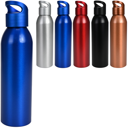 Botella Metálica 650cc